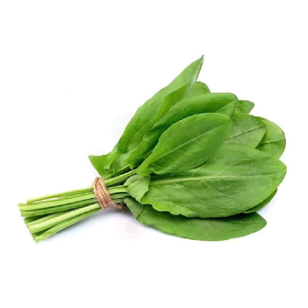 Green Sorrel Leaves Desi Seeds (చుక్కకూర) ( Chukkakura )