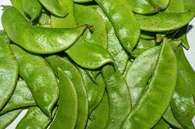 Elephant Ear Beans Seeds (Desi) ( Chikkudukaya )