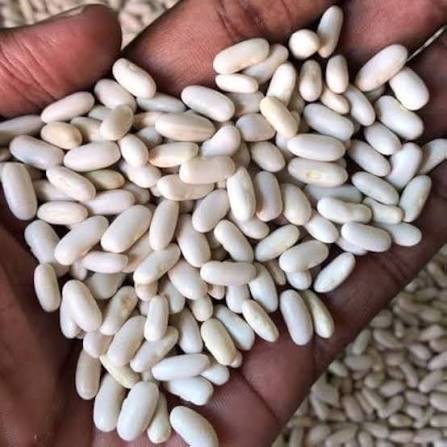 French Beans Desi Vegetable Seeds (White Seeds Chikkudukaya)