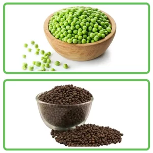 Trusted vegetable seeds India