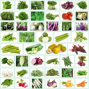 Reliable vegetable seed suppliers online